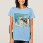 South Ledges, Frederick Childe HasssamによるAppledore Tシャツ (正面)