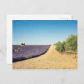 South of France ポストカード (正面/裏面)