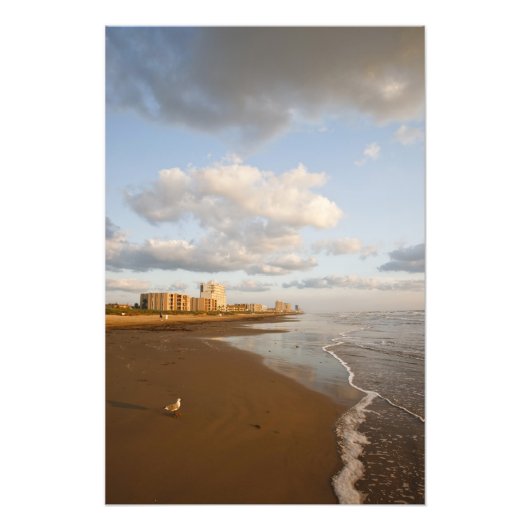 South Padre Island,テキサス州，アメリカ合衆国リゾートホテル， フォトプリント (正面)