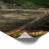 South Photo Postserの電話 ポスター (角)