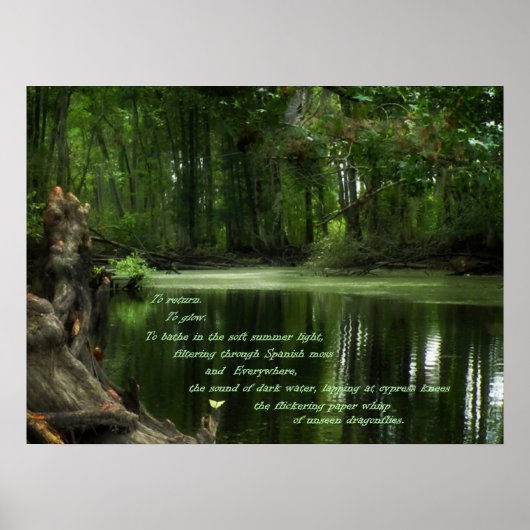 South Photo Postserの電話 ポスター (正面)