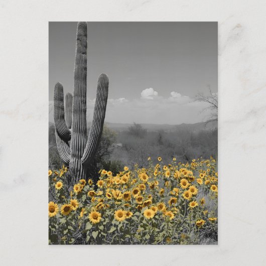 Southwestern Desert Saguaro Cactus and Sunflowers ポストカード (正面)