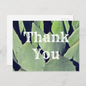  Southwestern Style Agave 感謝の気持ちを込めて ポストカード (正面/裏面)