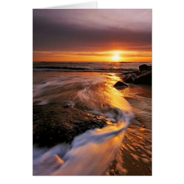 Southwoldのビーチの日の出6. (正面)