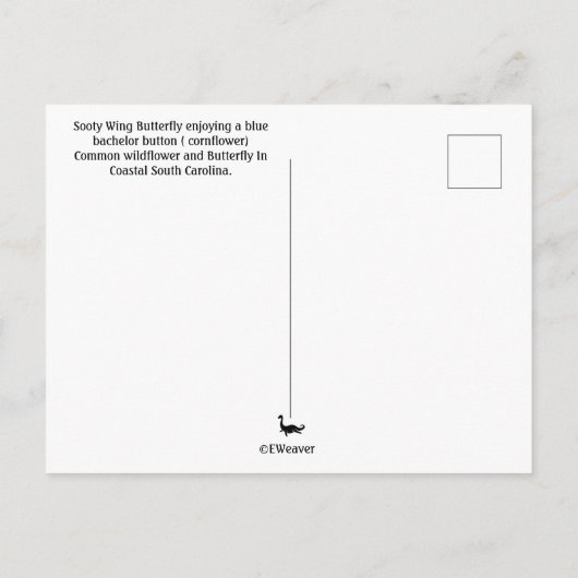 Soutywing on Cornflower ポストカード (裏面)