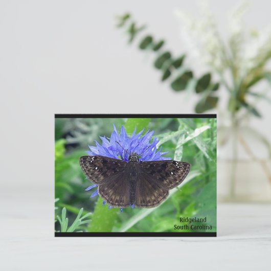 Soutywing on Cornflower ポストカード (スタンド正面)