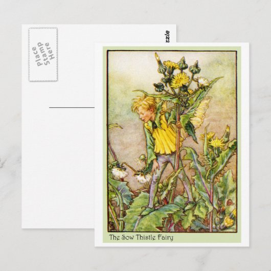SOWアザミの妖精 ポストカード (正面/裏面)