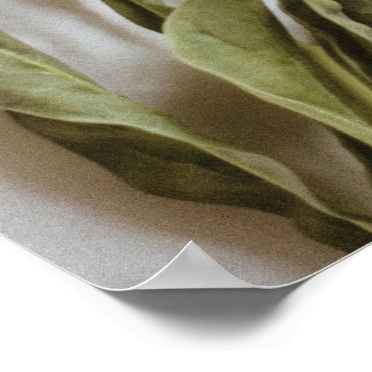 Spa Wellness Wall Art ポスター (角)