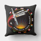 Space Mission Patch クッション (裏面)