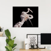 Space Shuttle Challenger Disaster ポスター (ホームオフィス)