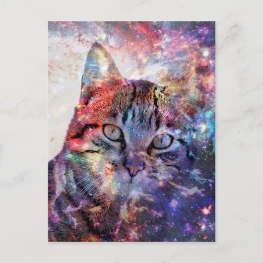 SpaceCat ポストカード (正面)