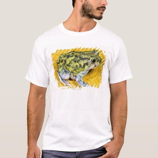 spadefootヒキガエル tシャツ (正面)