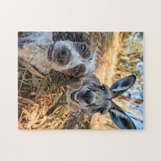 Spaniel Selfie With Kangaroo ジグソーパズル (横)