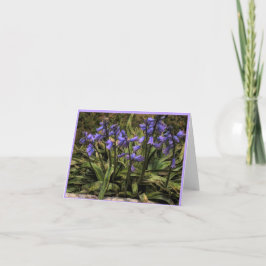 Spanish Bluebells @ Stenton House Museum & Garden サンキューカード