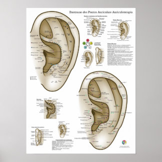 Spanish Ear Acupuncture Chart ポスター