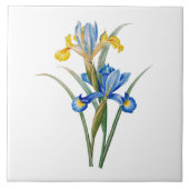 Spanish iris by Pierre-Joseph Redouté タイル (正面)