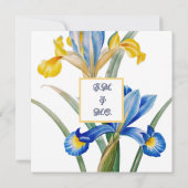 Spanish iris by Pierre-Joseph Redouté  招待状 (裏面)