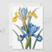 Spanish iris by Pierre-Joseph Redouté 招待状 (裏面)