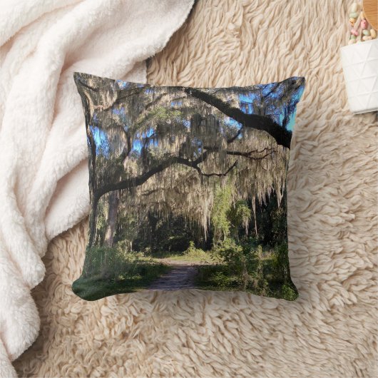 Spanish Moss クッション (ブランケット)