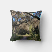 Spanish Moss クッション (正面)