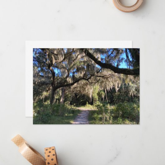Spanish Moss ノートカード (正面/裏面インサイチュ)
