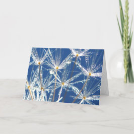 Sparkling Dandelion With Dew Poetry of Nature カード