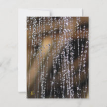Sparkling Dew Drop Bead Curtain, Magical