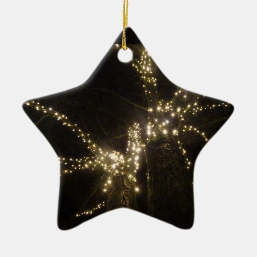 Sparkling Outdoor Tree Lights Star Ornament セラミックオーナメント (正面)