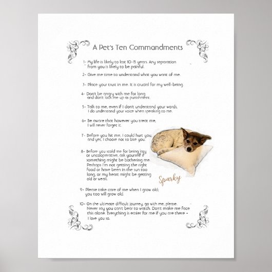 SPARKY a – ポスター (正面)