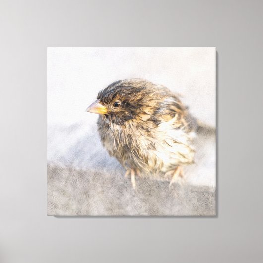 Sparrow – 天気予報エピック失敗 キャンバスプリント (正面)