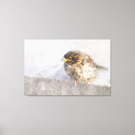 Sparrow – 天気予報エピック失敗 キャンバスプリント