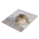 Sparrow – 天気予報エピック失敗 タイル (側面)