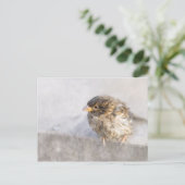 Sparrow – 天気予報エピック失敗 ポストカード (スタンド正面)