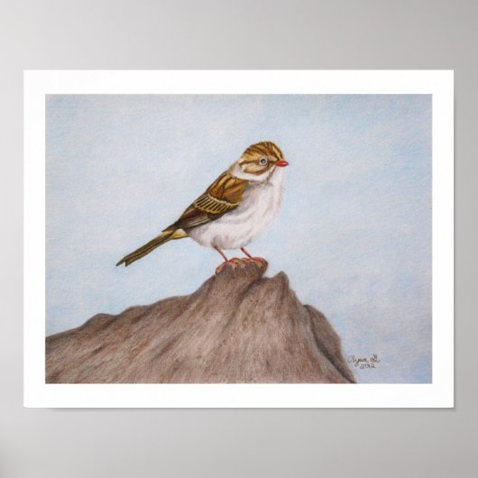 Sparrow 11"x14"のプリント ポスター (正面)