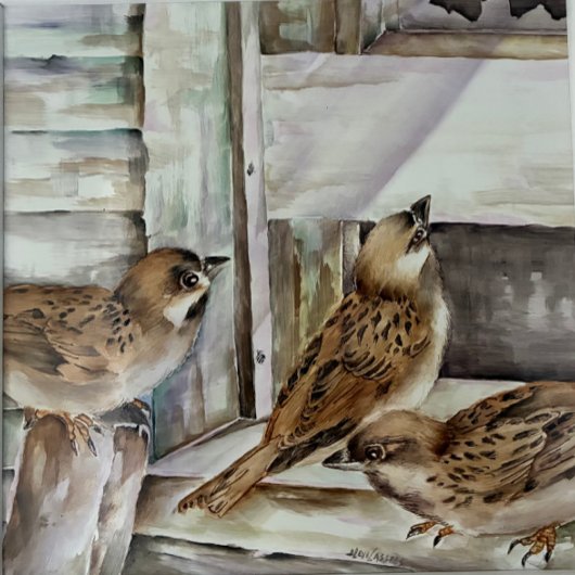 Sparrow Bird Notebook | Nature Journal Gift | NZ ノートブック