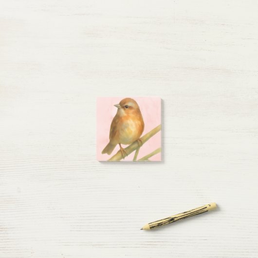 Sparrow Notes ポストイット (デスク上)