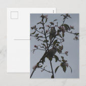 Sparrows in Tree with Autumn Flowers DIY Postcard シーズンポストカード (正面/裏面)