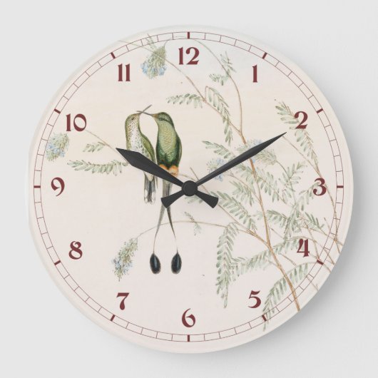 Spathura Peruana Hummingbirds by John Gould ラージ壁時計 (正面)
