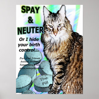 SpayとNeuter (または私はあなたの誕生制御を隠す) ポスター
