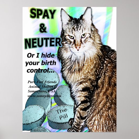 SpayとNeuter (または私はあなたの誕生制御を隠す) ポスター (正面)