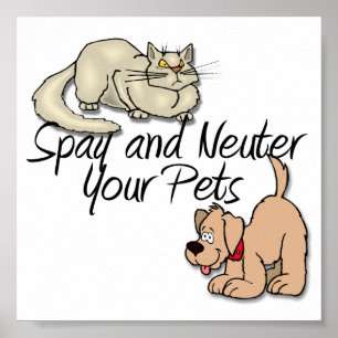 SpayとNeuter Your Pets ポスター