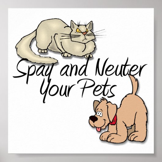 SpayとNeuter Your Pets ポスター (正面)