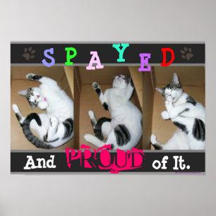 Spayed誇りを持った and of It ポスター