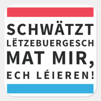 Speak Luxembourgish Sticker スクエアシール