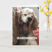 **SPECIAL BIRTHDAY** for "GRANDDAUGHTER" Card カード (黄色い花)