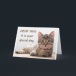 **SPECIAL CAT'S BIRTHDAY WISH TO SPECIAL TWIN** カード<br><div class="desc">WHAT A "COOL" WAY TO WISH HIM OR HER A "HAPPY BIRTHDAY"  THANK YOU FOR STOPPING BY ONE OF MY EIGHT STORES!!!</div>