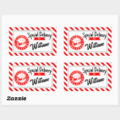 Special delivery from santa Christmas gift  長方形シール (シート)