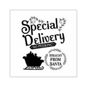 Special Delivery Straight from Santa ラバースタンプ (インプリント)