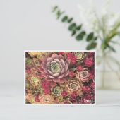 Special Edition Lena Jポストカード ポストカード (スタンド正面)