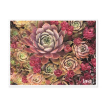 Special Edition Lena Jポストカード